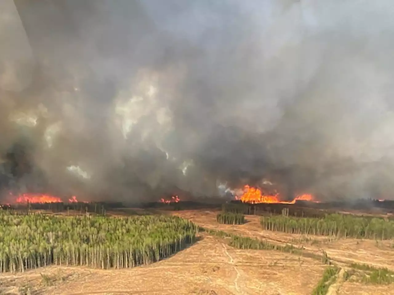 Alberta declares state of emergency over wildfires