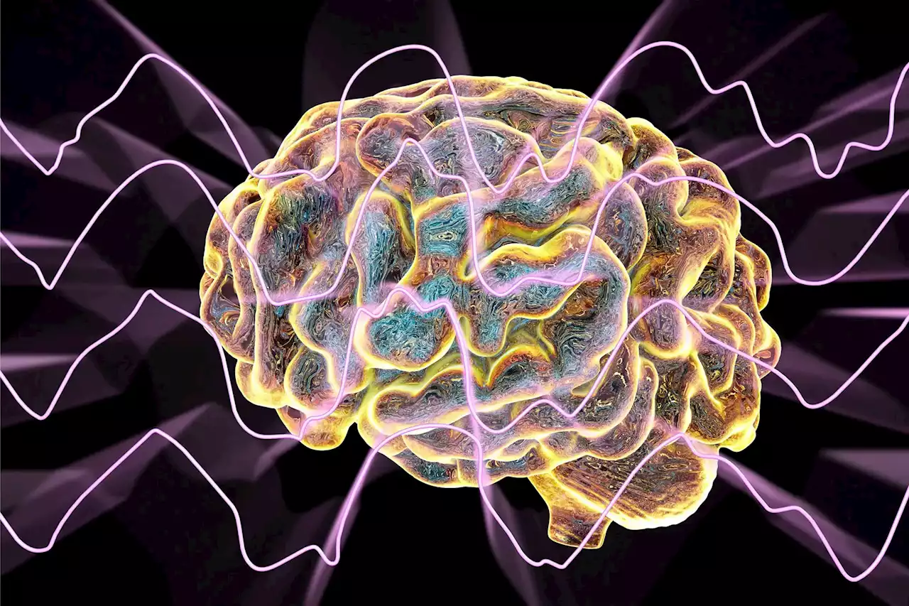 Dreaming Away Dementia: Berkeley Research Shows Deep Sleep Alleviates Alzheimer’s Memory Loss