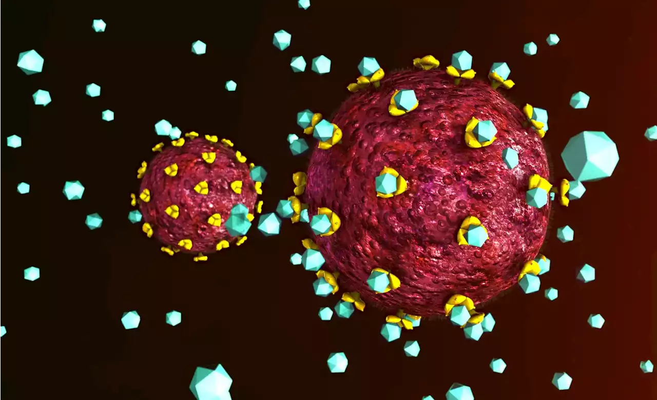 New Study: Gene Therapy Can Effectively Eliminate HIV Infection