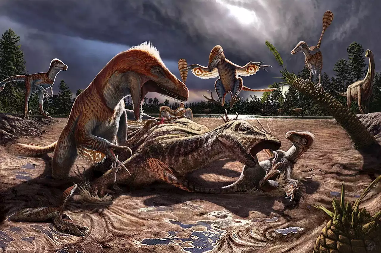 Worlds Largest “Raptor” Dinosaurs Lived 10 Million Years Earlier Than Thought