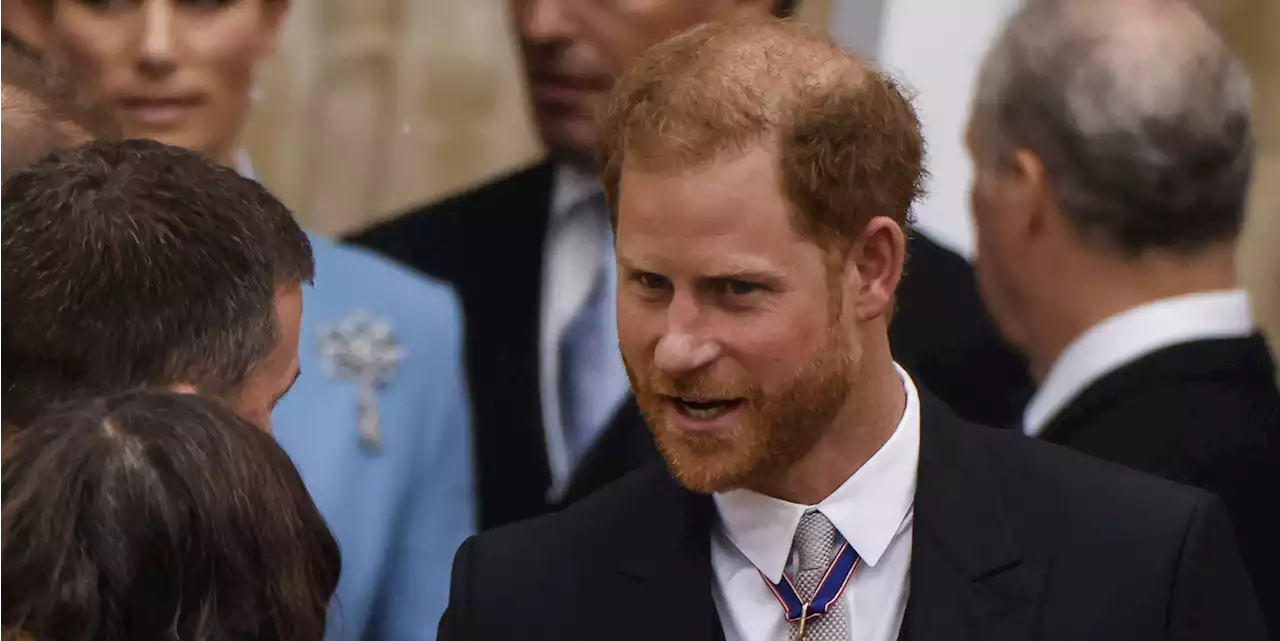 Prince Harry Was Blocked by a Giant Feather in Princess Anne's Hat During the Coronation