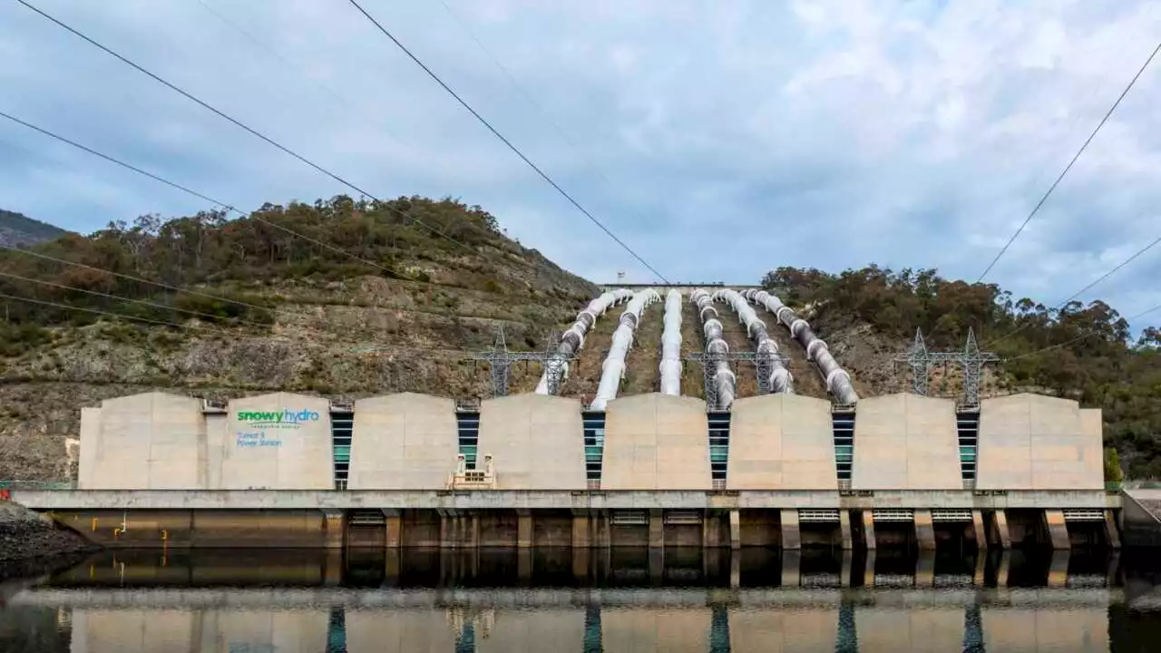 Future generations will look back and think we were ‘all insane’ with renewables push