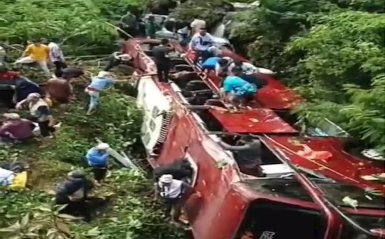 Breaking News! Bus Pariwisata Sarat Penumpang Terjun ke Jurang di Tegal