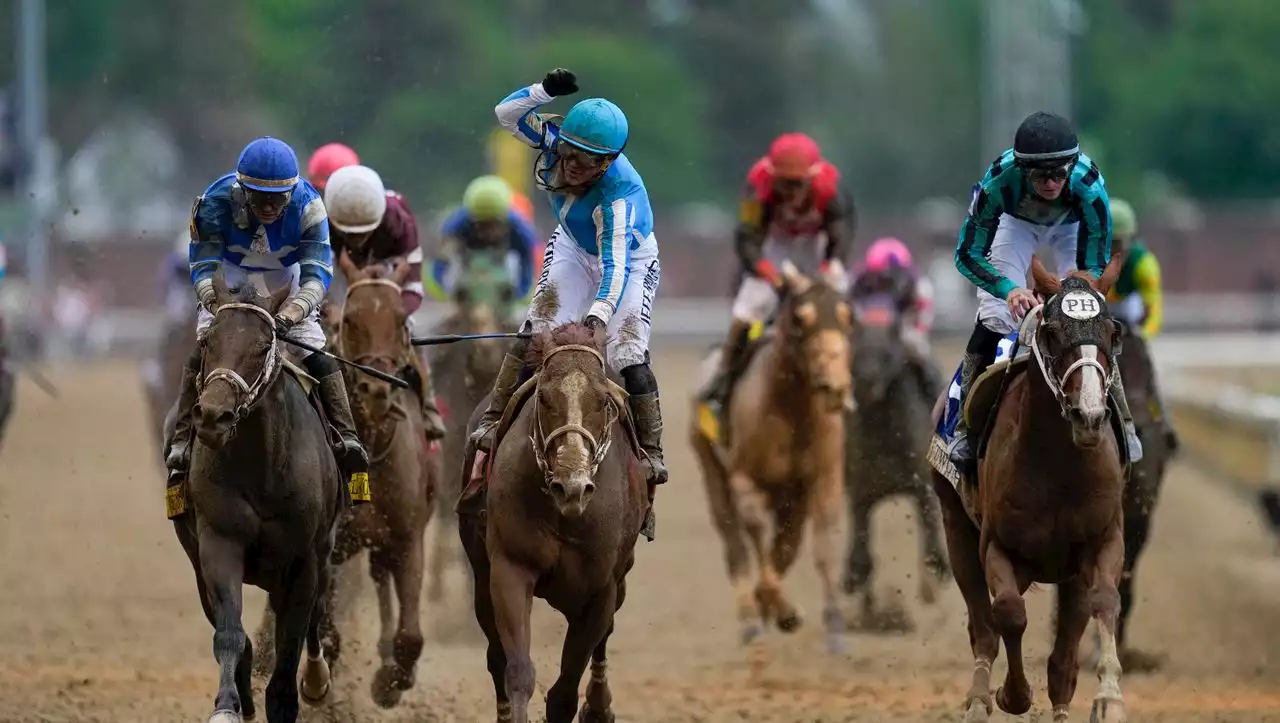 Traditionsreiches Kentucky Derby: Sieben tote Pferde innerhalb von zehn Tagen