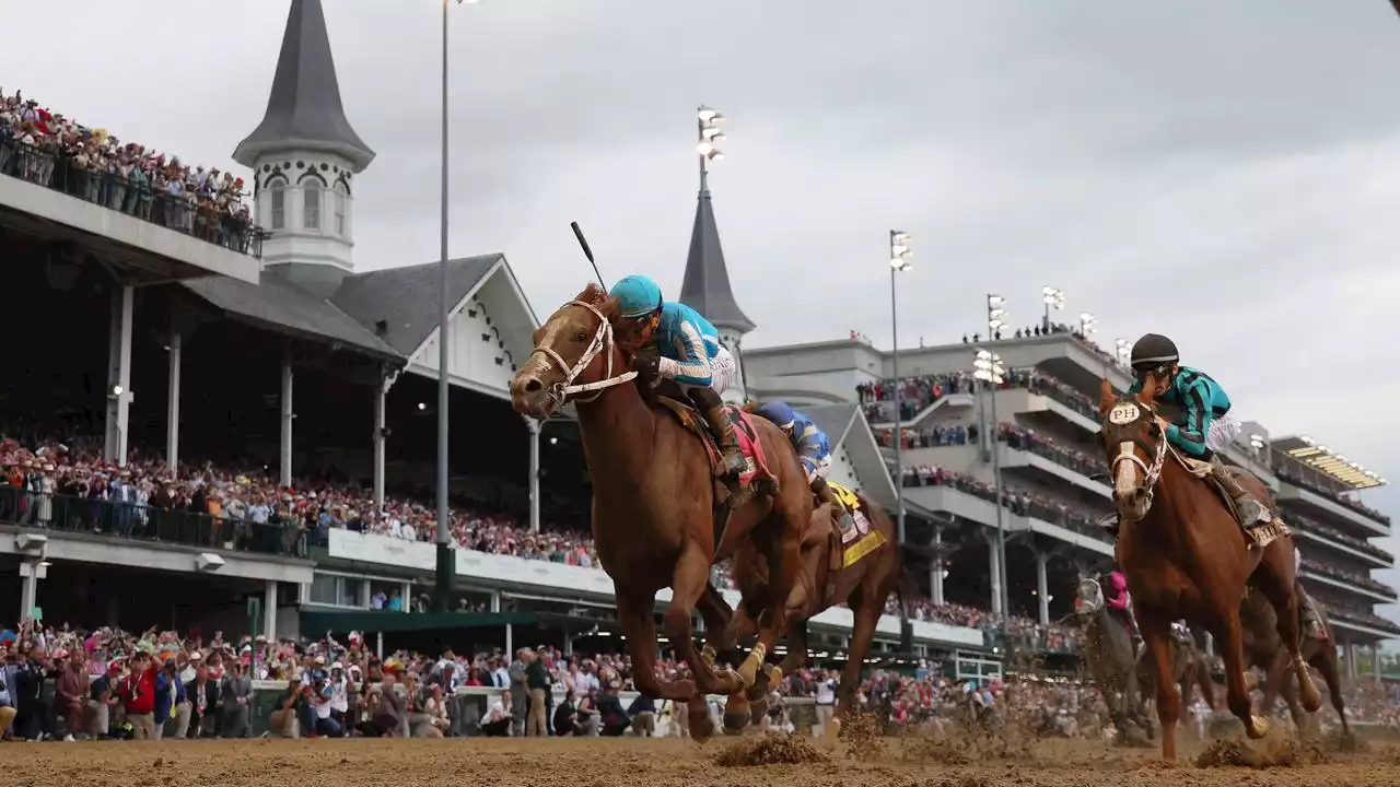 Sieben tote Pferde beim 'Triple Crown'-Rennen: Castellano und Mage siegen bei Kentucky Derby