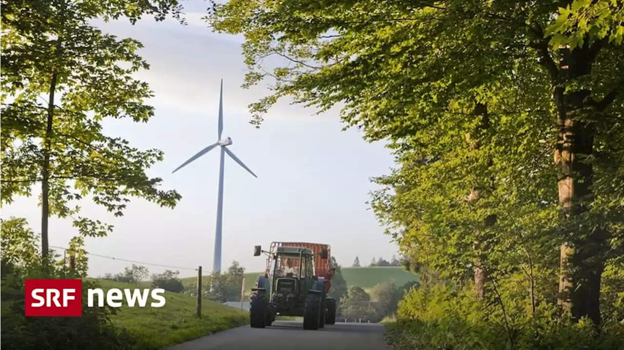 Windräder und Fotovoltaik - Alternative Energiegewinnung bedrängt den Wald