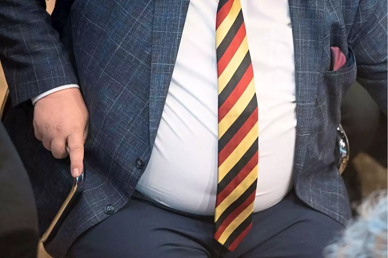 Too much fat can affect brain power