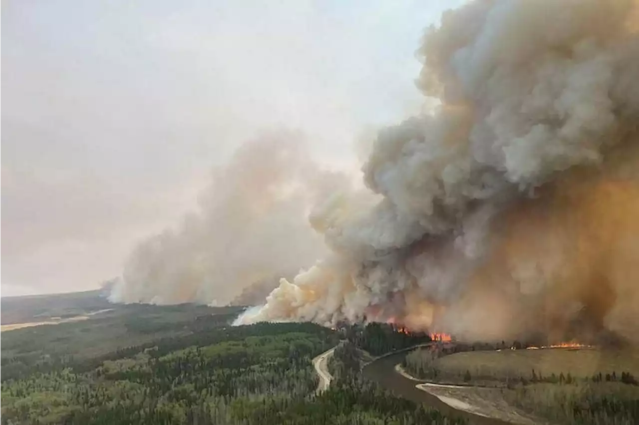 Canada’s Alberta declares state of emergency over wildfires