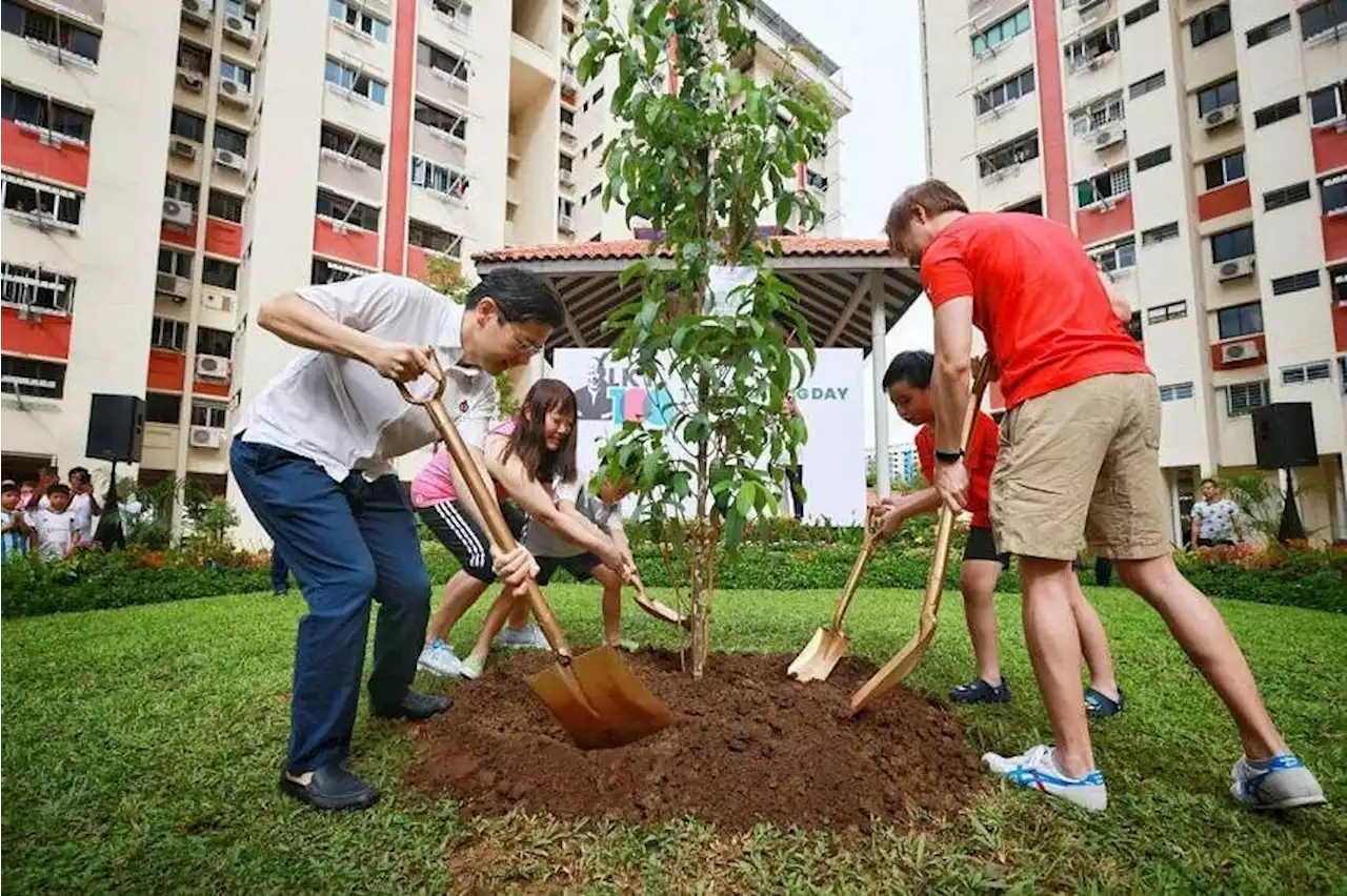 10,000 trees to be planted to mark Lee Kuan Yew’s 100th birth anniversary