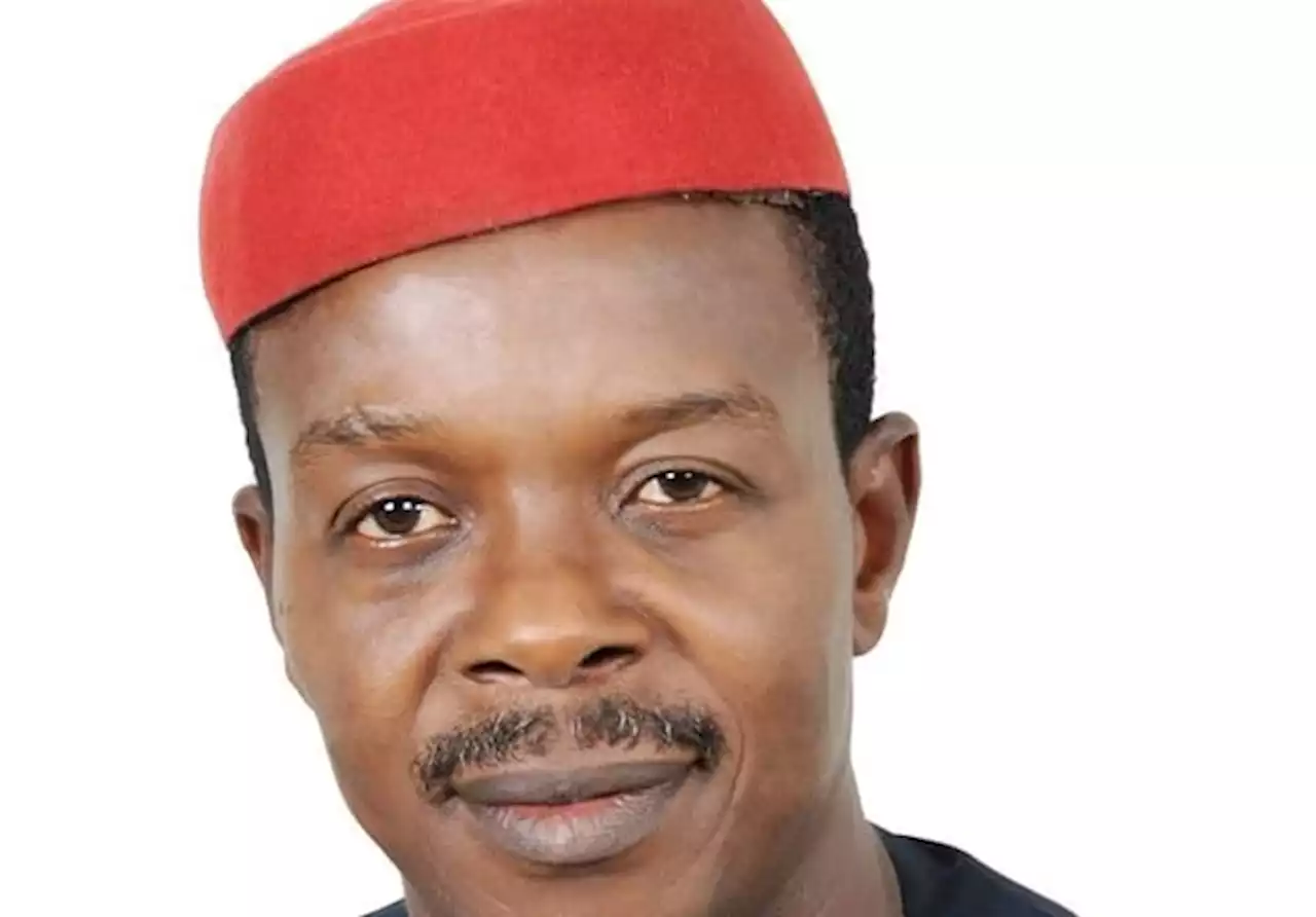 'Bless my aspiration' -- Ndubueze, Imo north senator-elect writes APC, declares senate president bid | TheCable