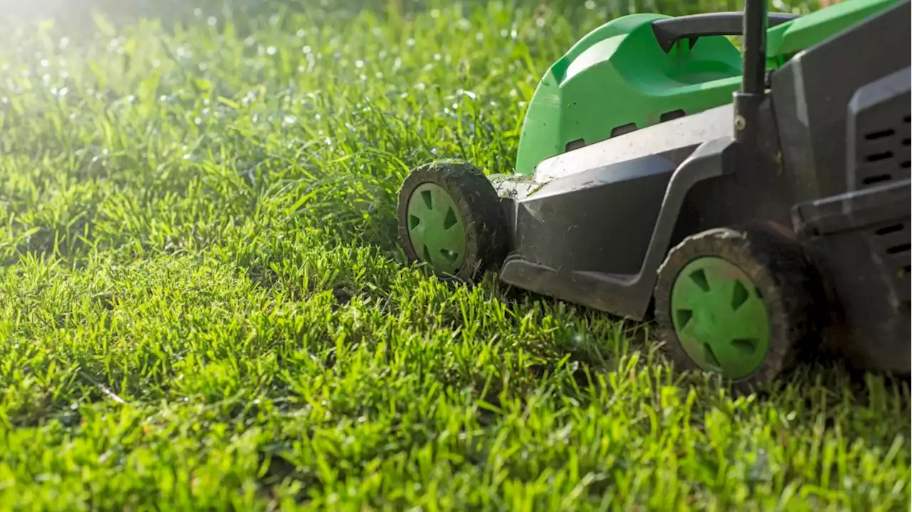 The Best Electric Lawn Mowers in 2023 - Autoblog