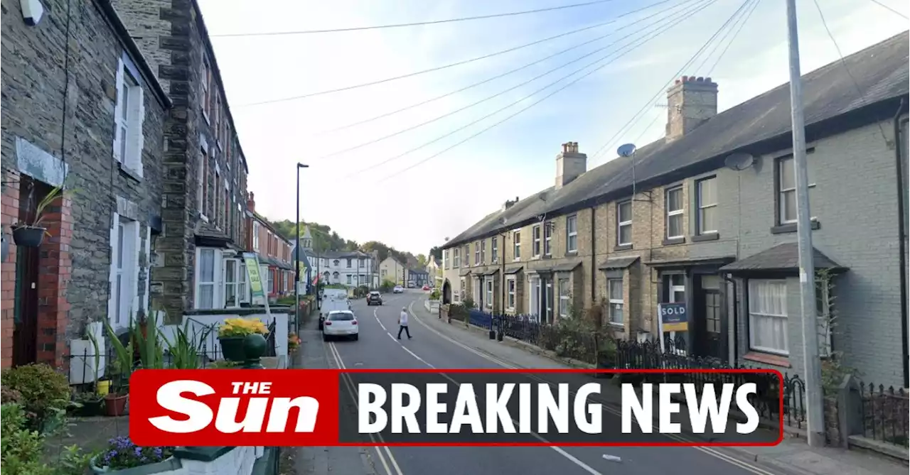 Man, 27, arrested after woman, 33, & three children found injured in home