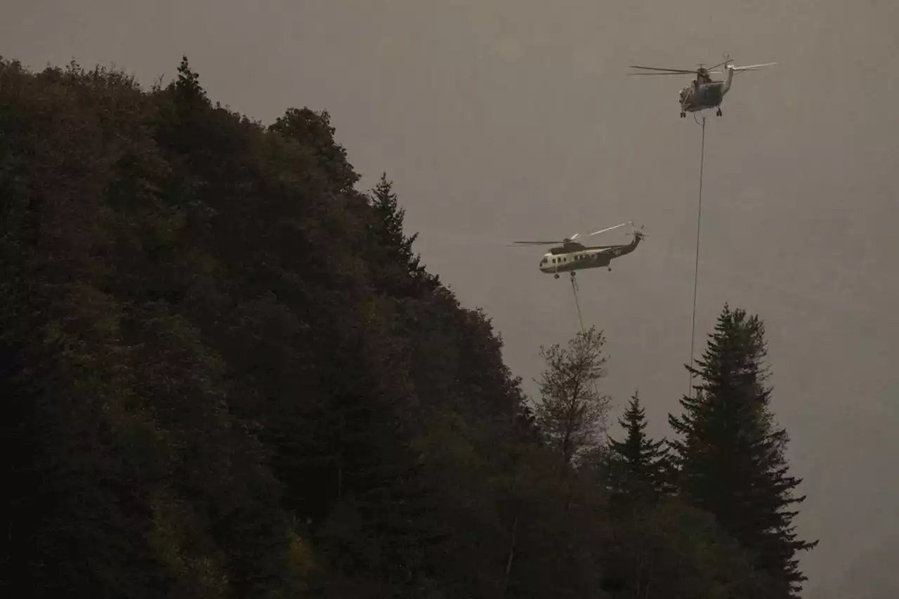 Three uncontrolled wildfires near B.C.-Alberta boundary force evacuations