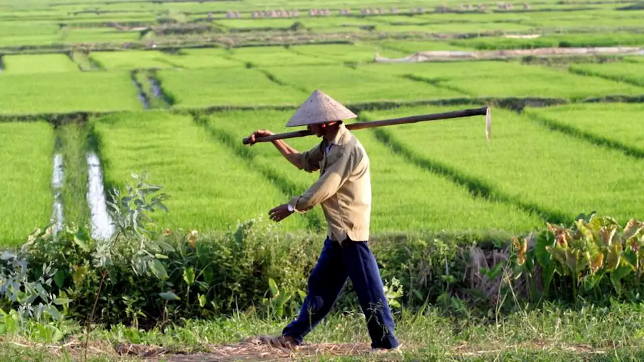 Vietnam posts record high temperature, fueling climate crisis concerns