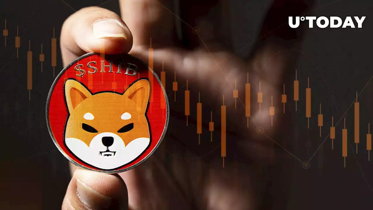 Shiba Inu (SHIB) Plummeted by 8%, Could It Spark New Rally?