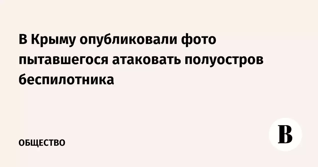 В Крыму опубликовали фото пытавшегося атаковать полуостров беспилотника