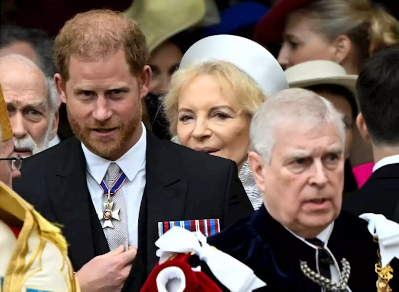 Prince Harry an odd man out at father's coronation spectacle