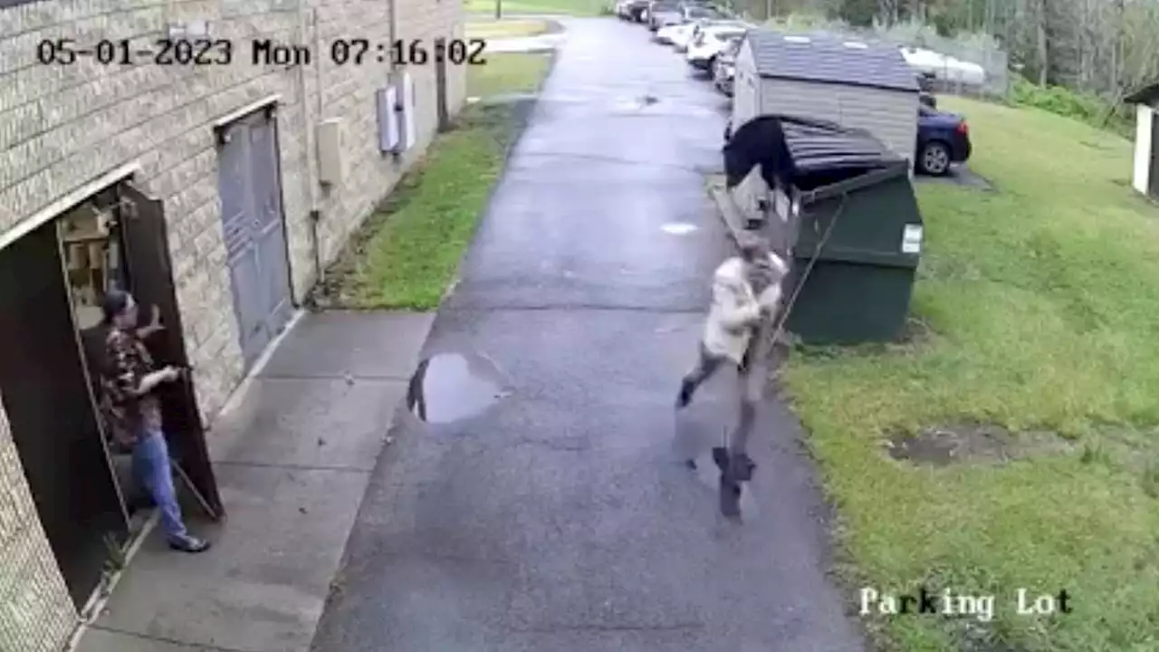 Bear gives West Virginia principal a roaring wake-up call