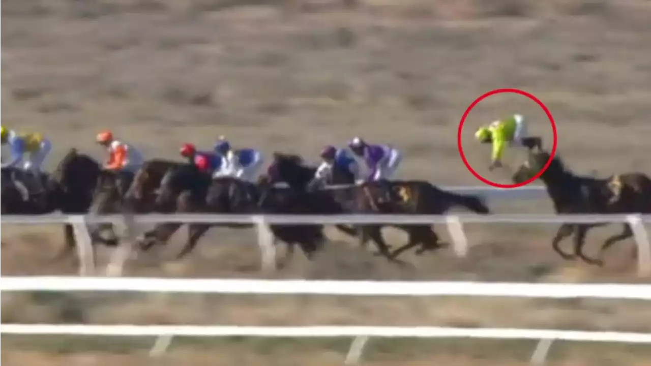 Veteran jockey suffers serious brain injury in terrifying fall