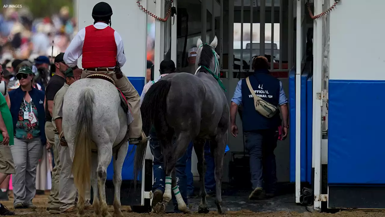 Horse deaths cast shadow as Triple Crown shifts to Preakness