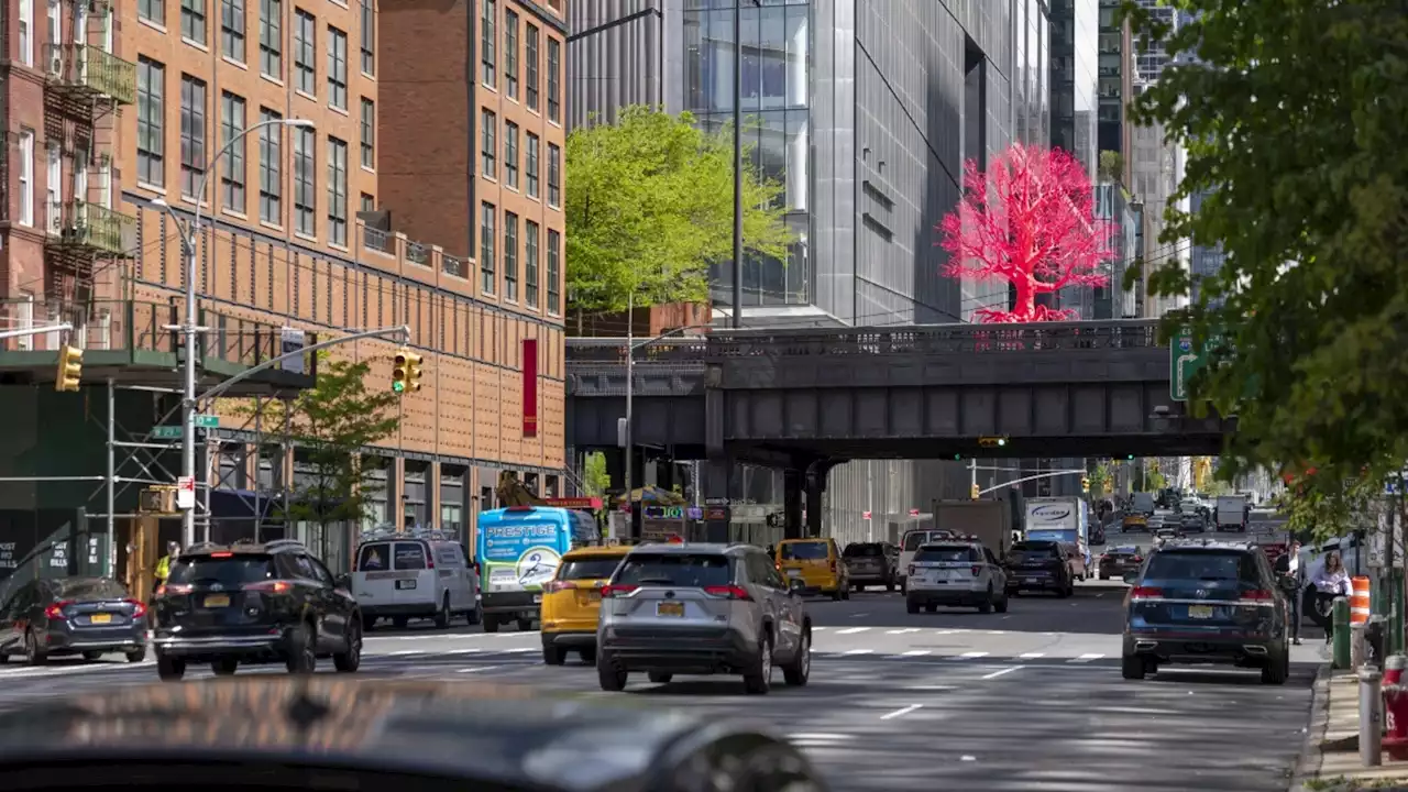 Vibrant sculpture 'Old Tree' now on display on New York City's High Line