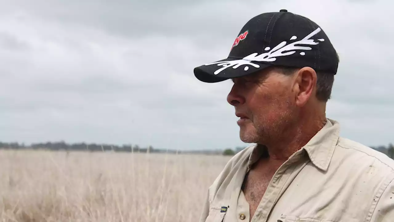 Dairy farmer uses multi-species, legumes and charcoal to combat climate change