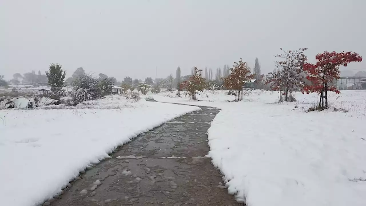 Snow, strong winds, wild surf hit NSW as records set in freezing autumn night