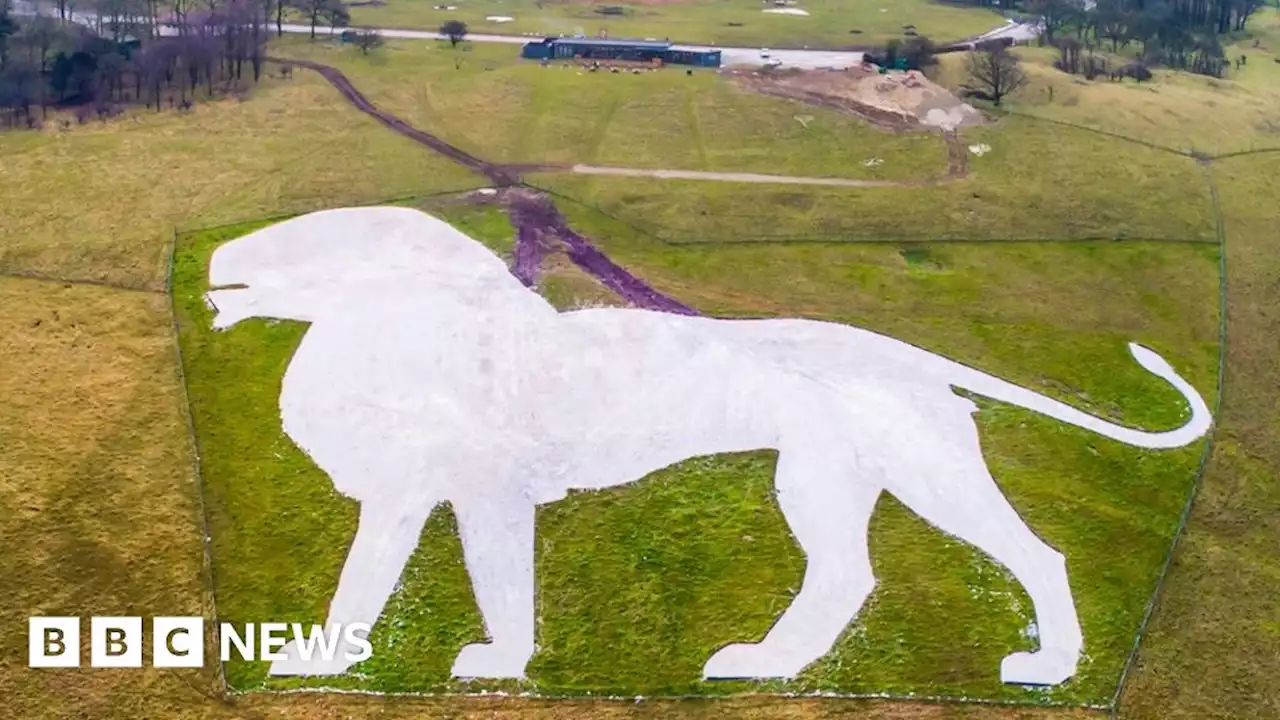 Coronation: Whipsnade Zoo's Big Help Out volunteers to weed giant lion