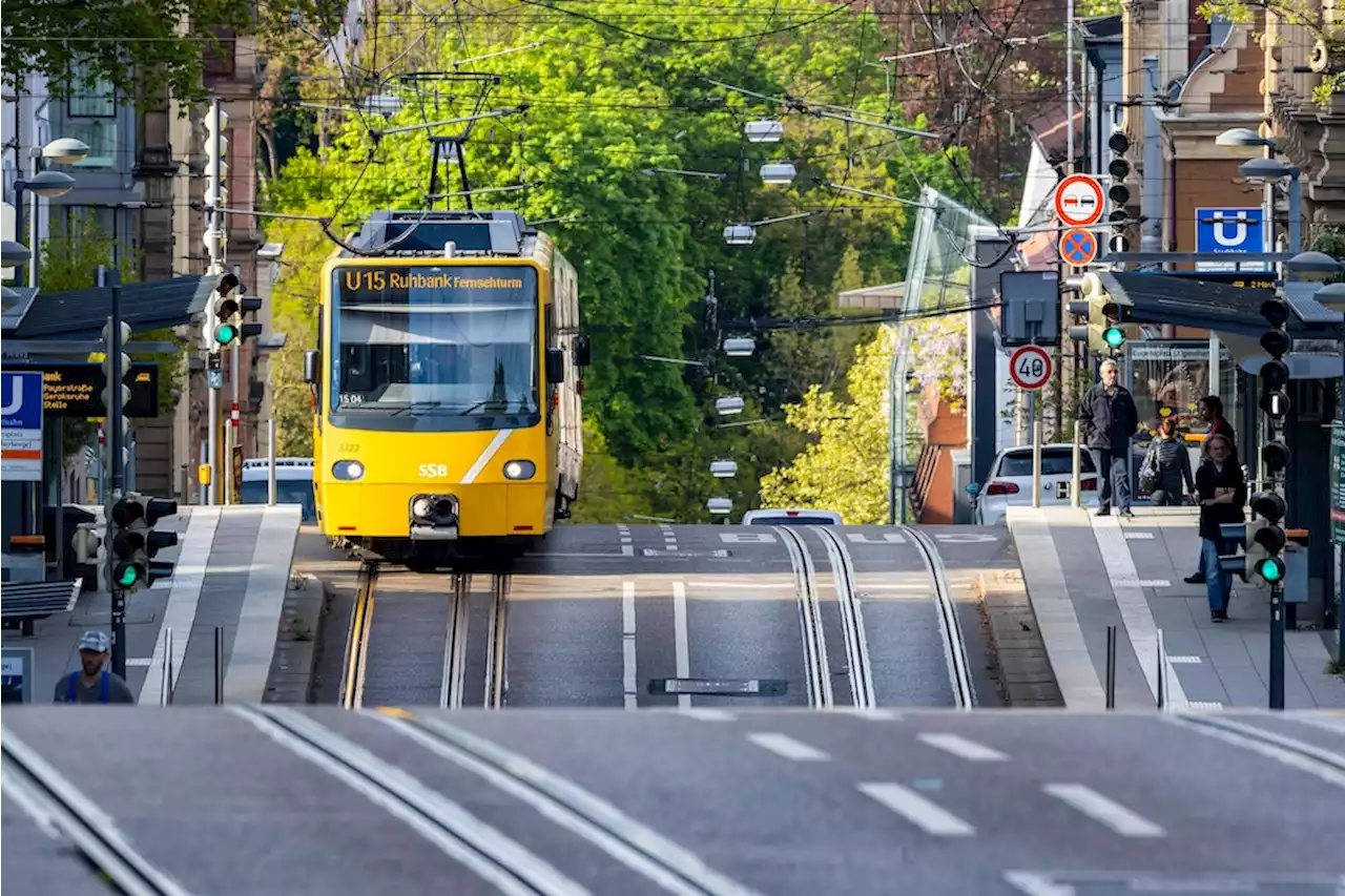 Video: Pferd steigt in Straßenbahn ein – Fahrgäste verdutzt