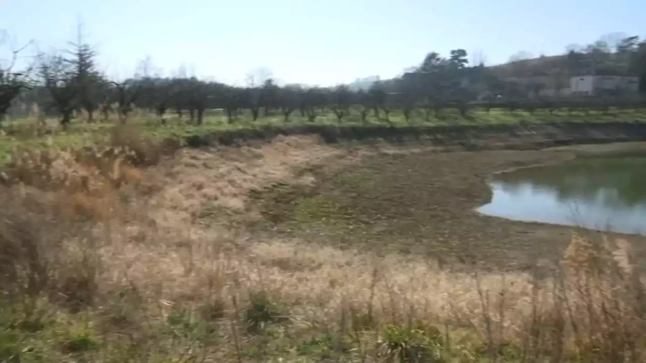 Face au risque incendie accru, des cuves à vin deviennent réserves d'eau