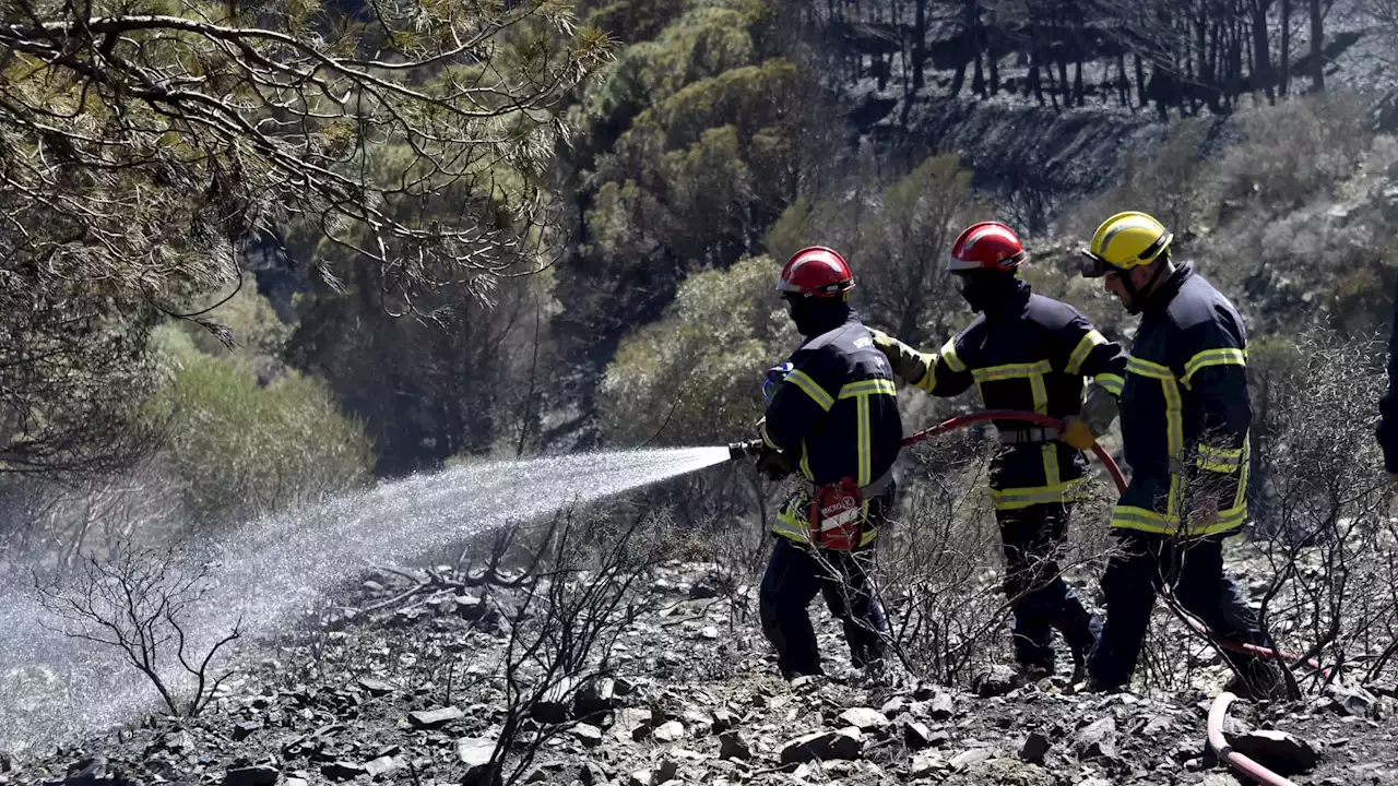 Pyrénées-Orientales: l'incendie fixé après avoir brûlé 30 hectares