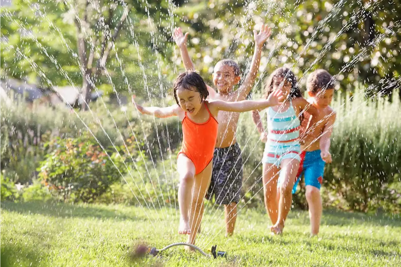 Heat wave is coming to Burnaby — it may feel like 34C by Sunday