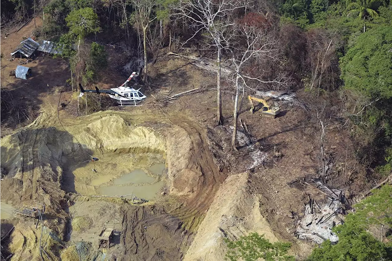 Exército contratou empresa acusada de garimpo ilegal para serviços em terras yanomami