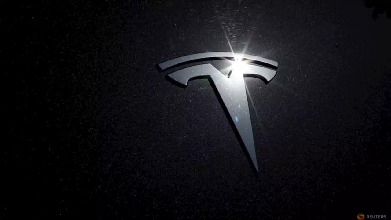 Tesla plans to produce lithium for 1 million vehicles from Texas refinery - Elon Musk