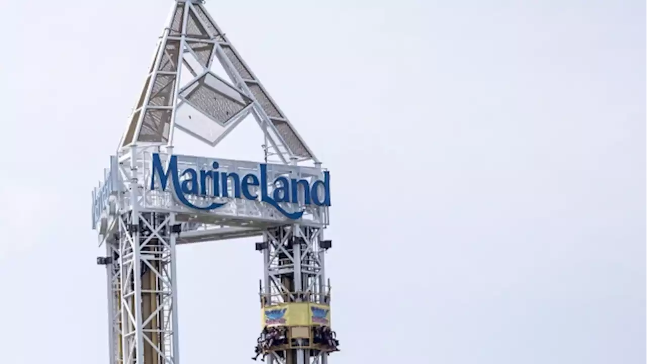 Beluga whale, bottlenose dolphin die at Marineland