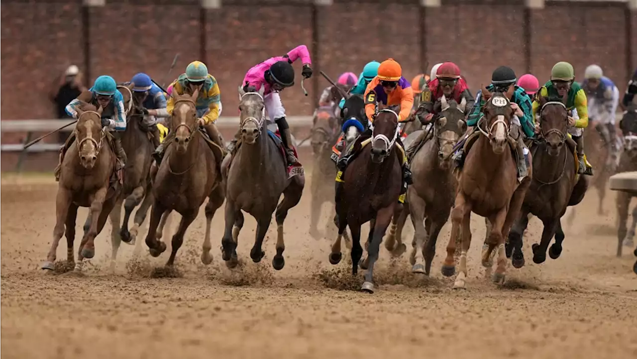 Horse deaths cast shadow as Triple Crown shifts to Preakness