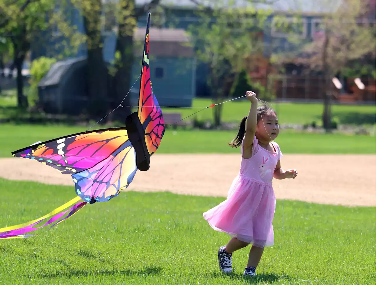 Eyes to the skies as kites soar over Hoffman Estates