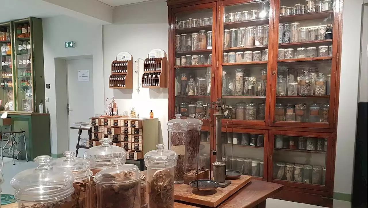 Le cloître des Récollets, un cloître ouvert aux plantes médicinales et autres