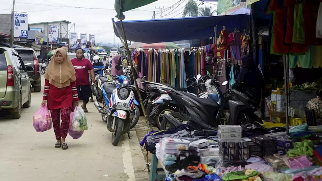 Otorita IKN: Tak Ada Kasus Malaria di Ibu Kota Baru