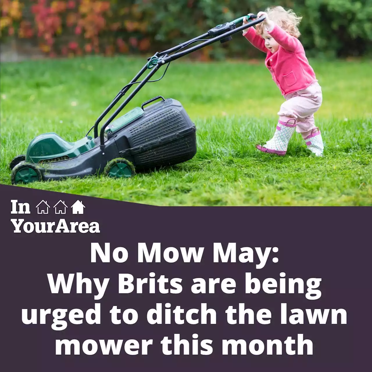 No Mow May: Brits are being urged to ditch the lawn mower this month