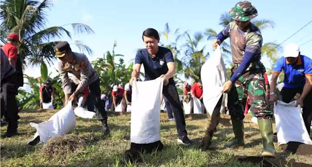 Nah, Ada Penyaluran Pupuk Organik Gratis di Klungkung,Ini Target Mereka