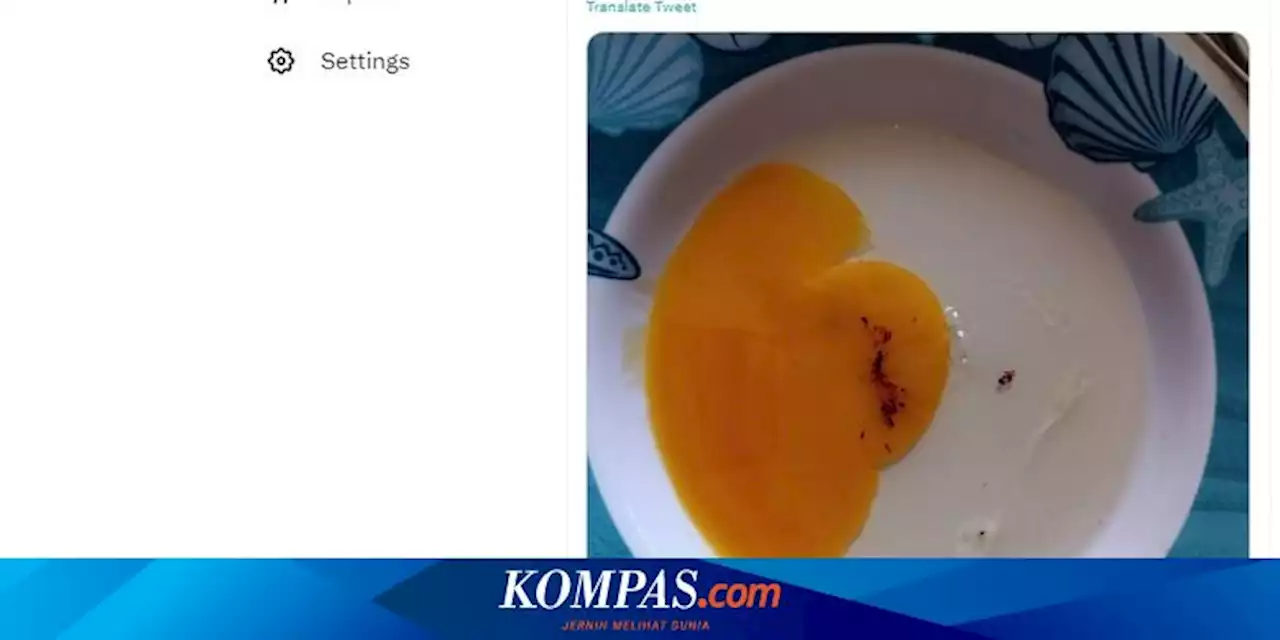 Ada Bercak Darah di Dalam Telur, Masih Amankah untuk Dikonsumsi?