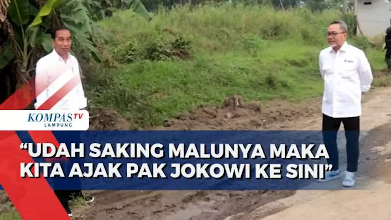 Zulkifli Hasan Akui Malu karena Jalan Rusak di Lampung