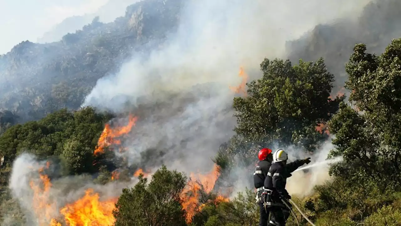 Incendie dans les Pyrénées-Orientales: le feu qui a brûlé 30 hectares est fixé