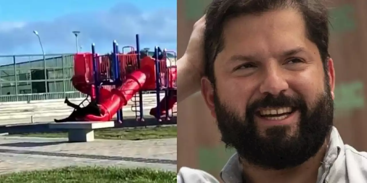 VIDEO. Gabriel Boric sufre accidente viral: se queda atrapado en juego infantil