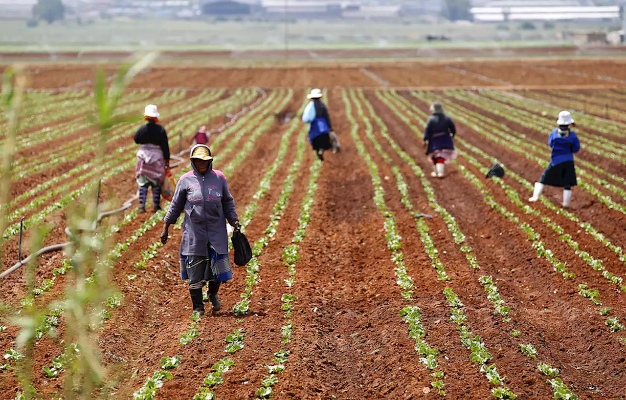 Climate change threatens agriculture in Africa