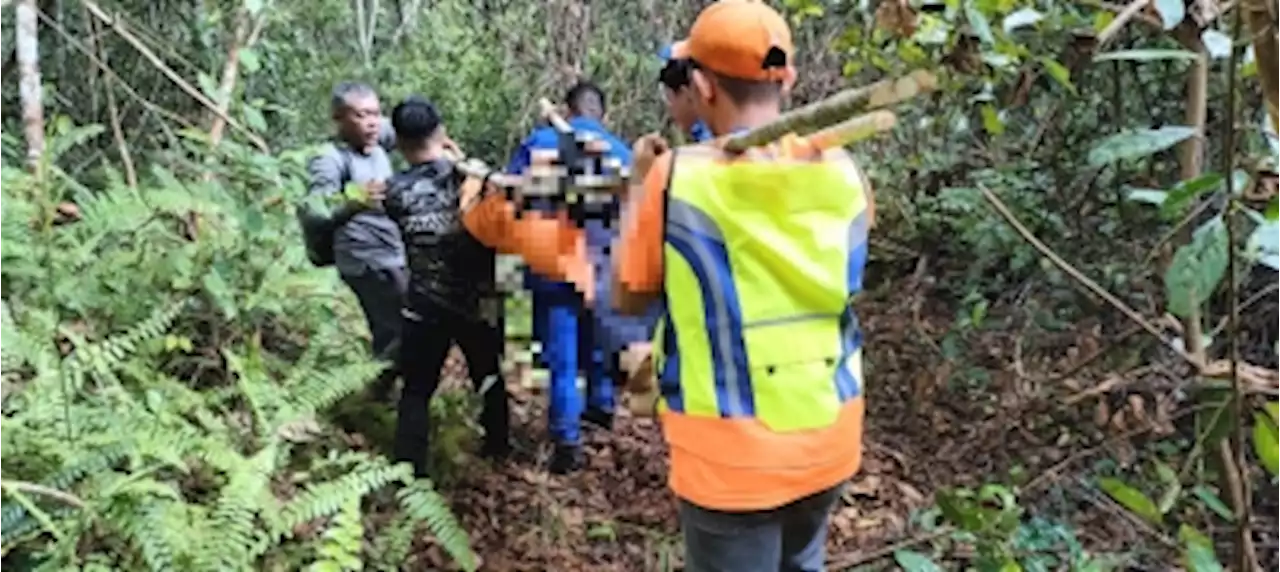 Maintenance worker dies while cleaning transmission tower site in Bintangor forest