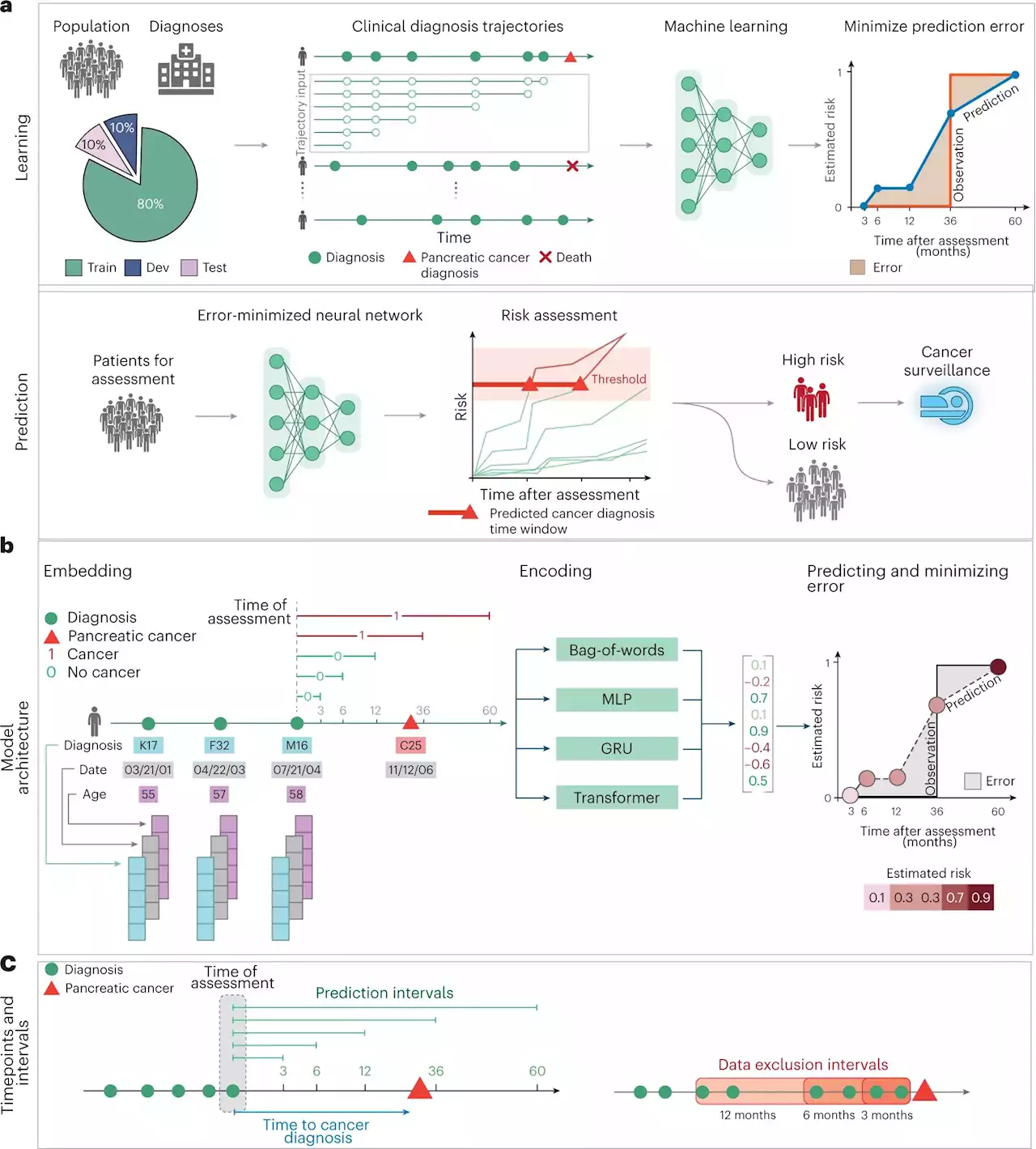 AI predicts future pancreatic cancer