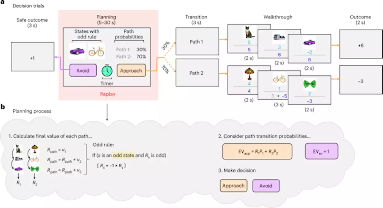 Differential replay of reward and punishment paths predicts approach and avoidance - Nature Neuroscience