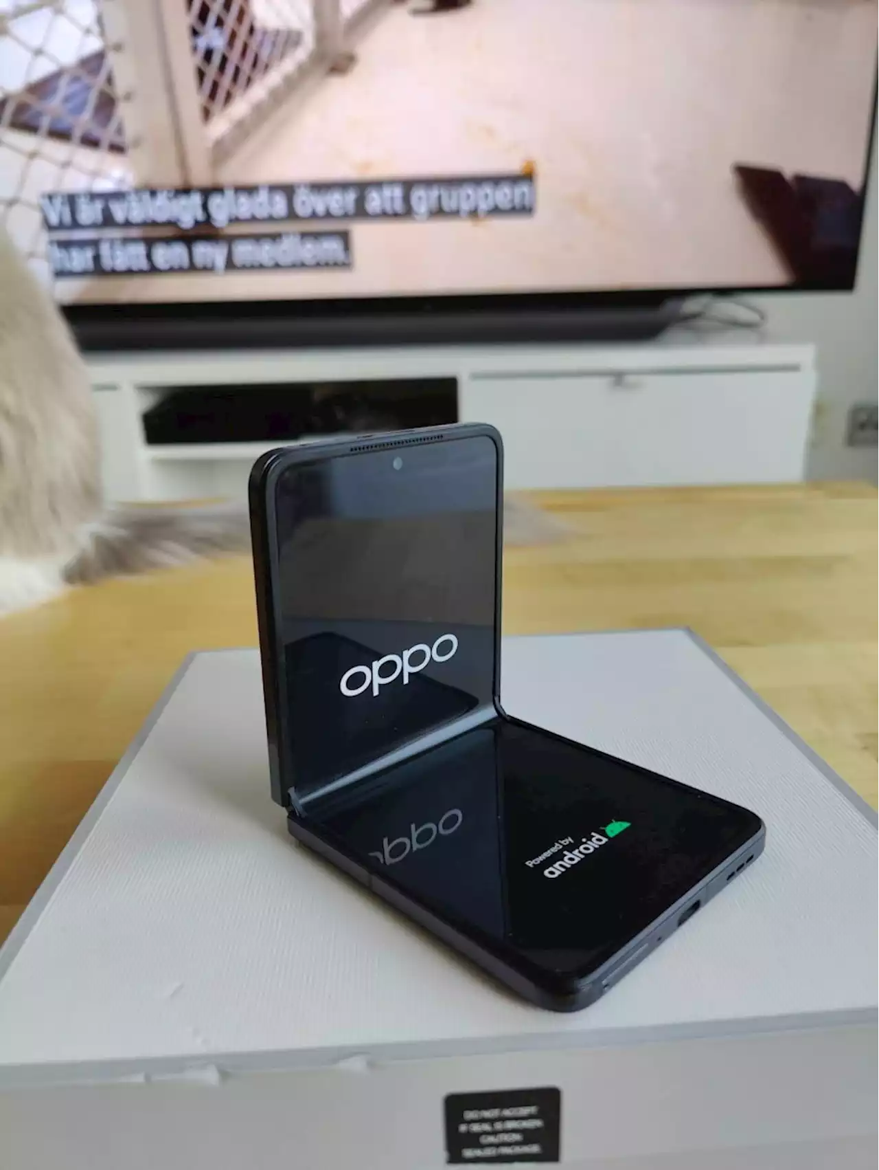 Rykte: OPPO förbereder att lämna Frankrike – trots allt!